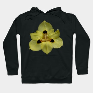 Yellow Pansy Hoodie